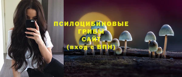 мескалин Алексин
