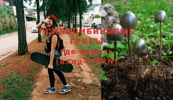 ПСИЛОЦИБИНОВЫЕ ГРИБЫ Алексеевка